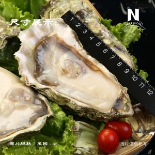 美國生蠔-02
