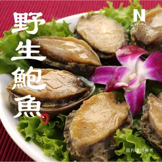 大陸盤鮑-01