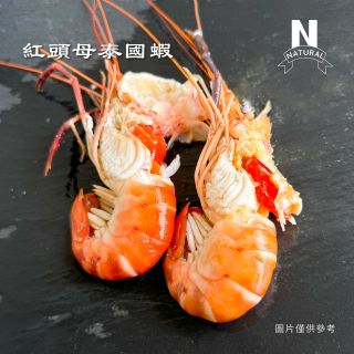 泰國蝦-02