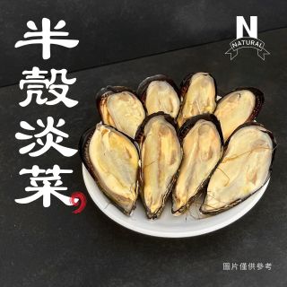 淡菜-01