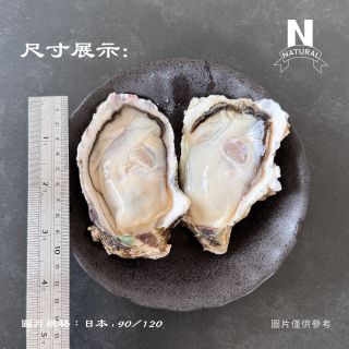日本生蠔-03