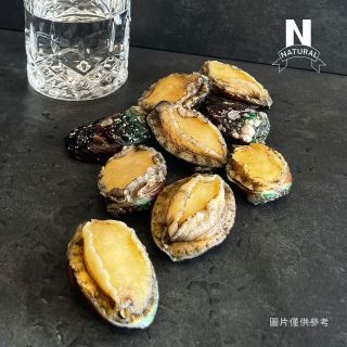 大陸盤鮑-02