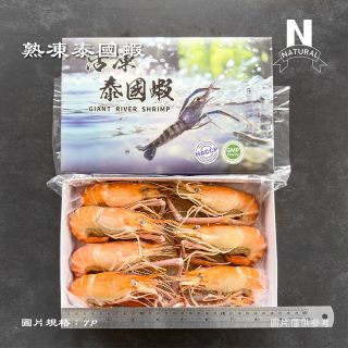 泰國蝦-03