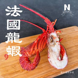 龍蝦-生-法國-01