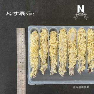 天婦羅炸蝦-03