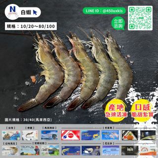 包裝總覽
