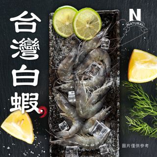 台灣白蝦-02