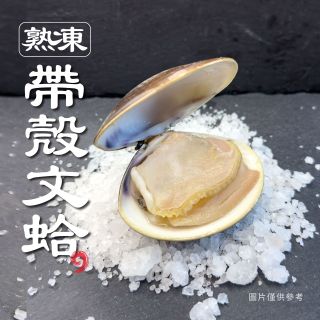 熟凍帶殼文蛤-01