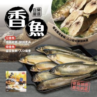 香魚-03