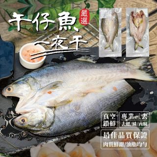 午仔魚