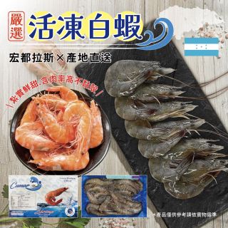 宏都拉斯-酷馬牌