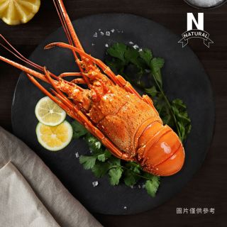 龍蝦(熟凍)