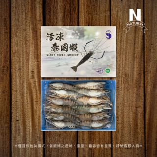 包裝總覽