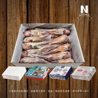 官網包裝展示-07