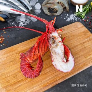 龍蝦(生)-法國
