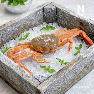 松葉蟹