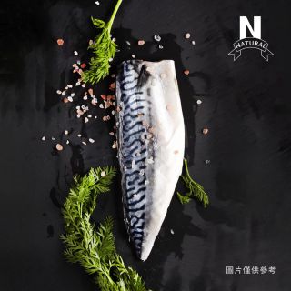 鯖魚片