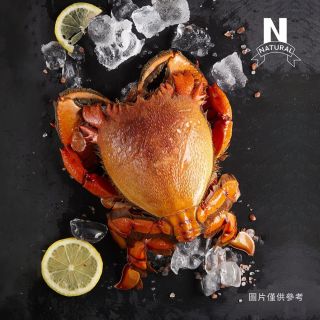 旭蟹