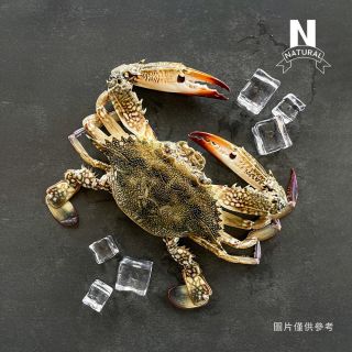 藍蟹