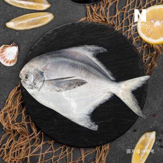 白鯧