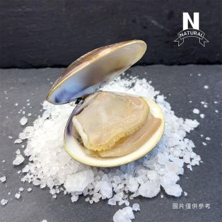 熟文蛤