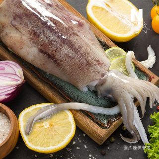 軟絲
