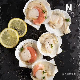 扇貝