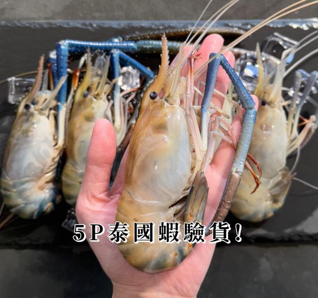 職人驗貨｜超大5P泰國蝦